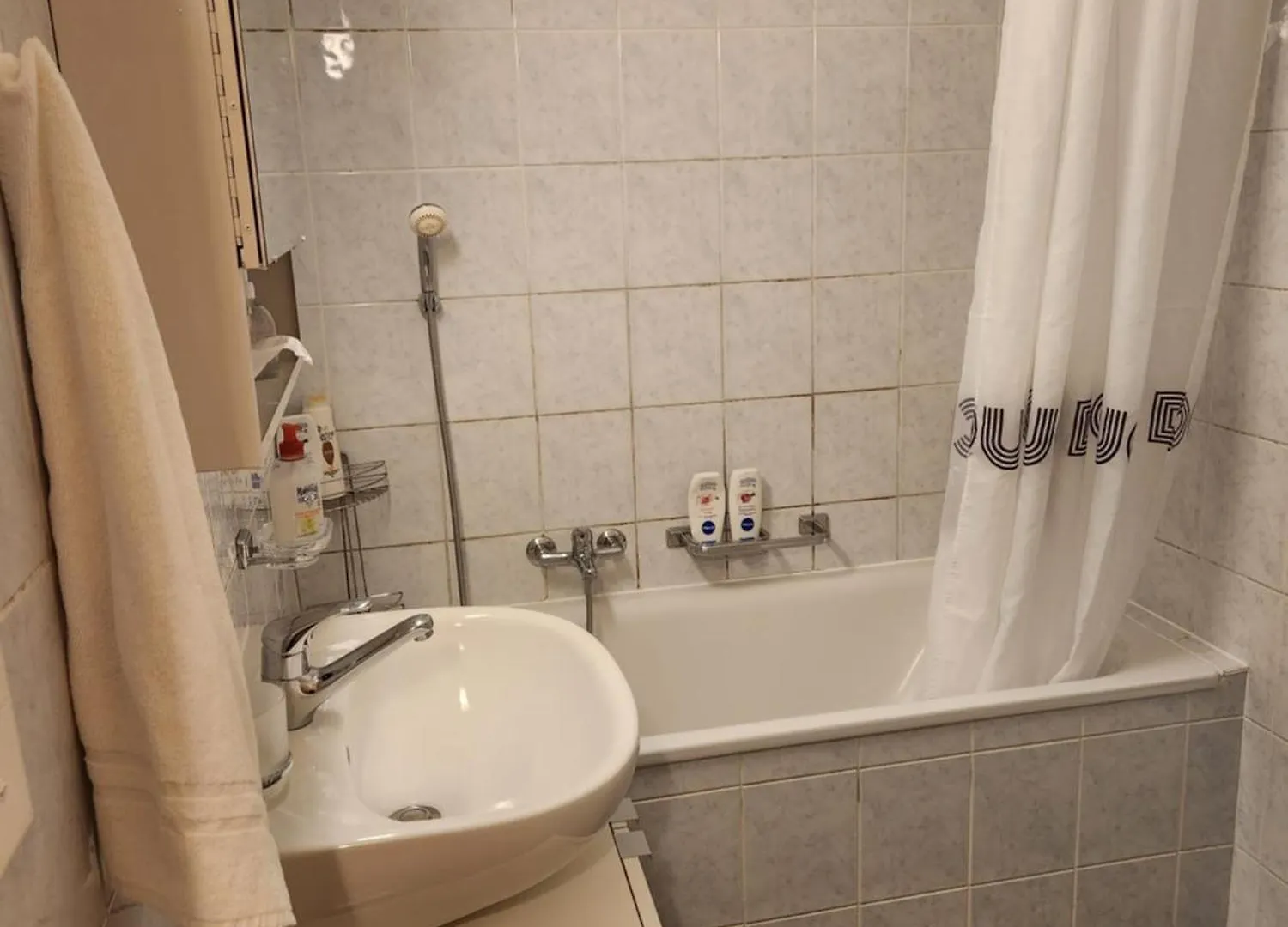 Room In Shared Apartment Geneva