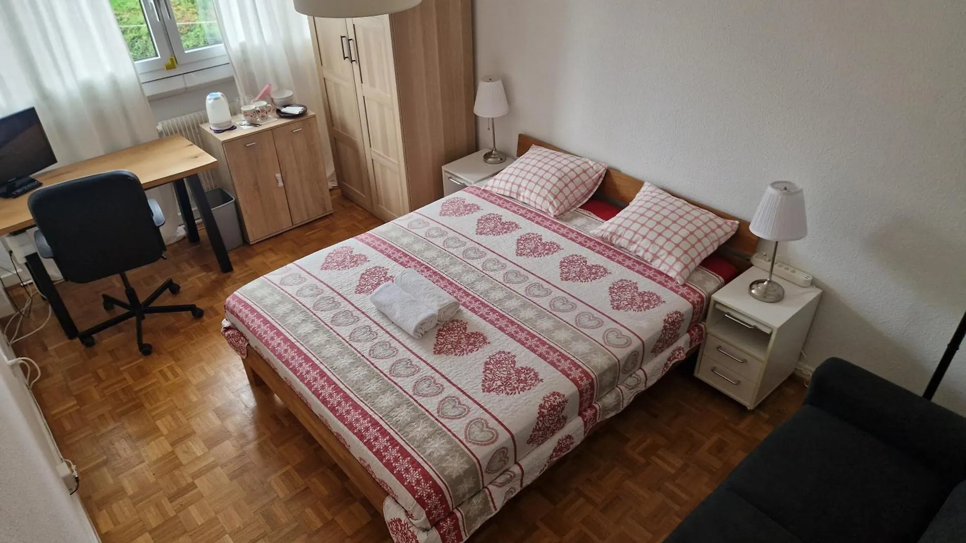 Room In Shared Apartment Geneva